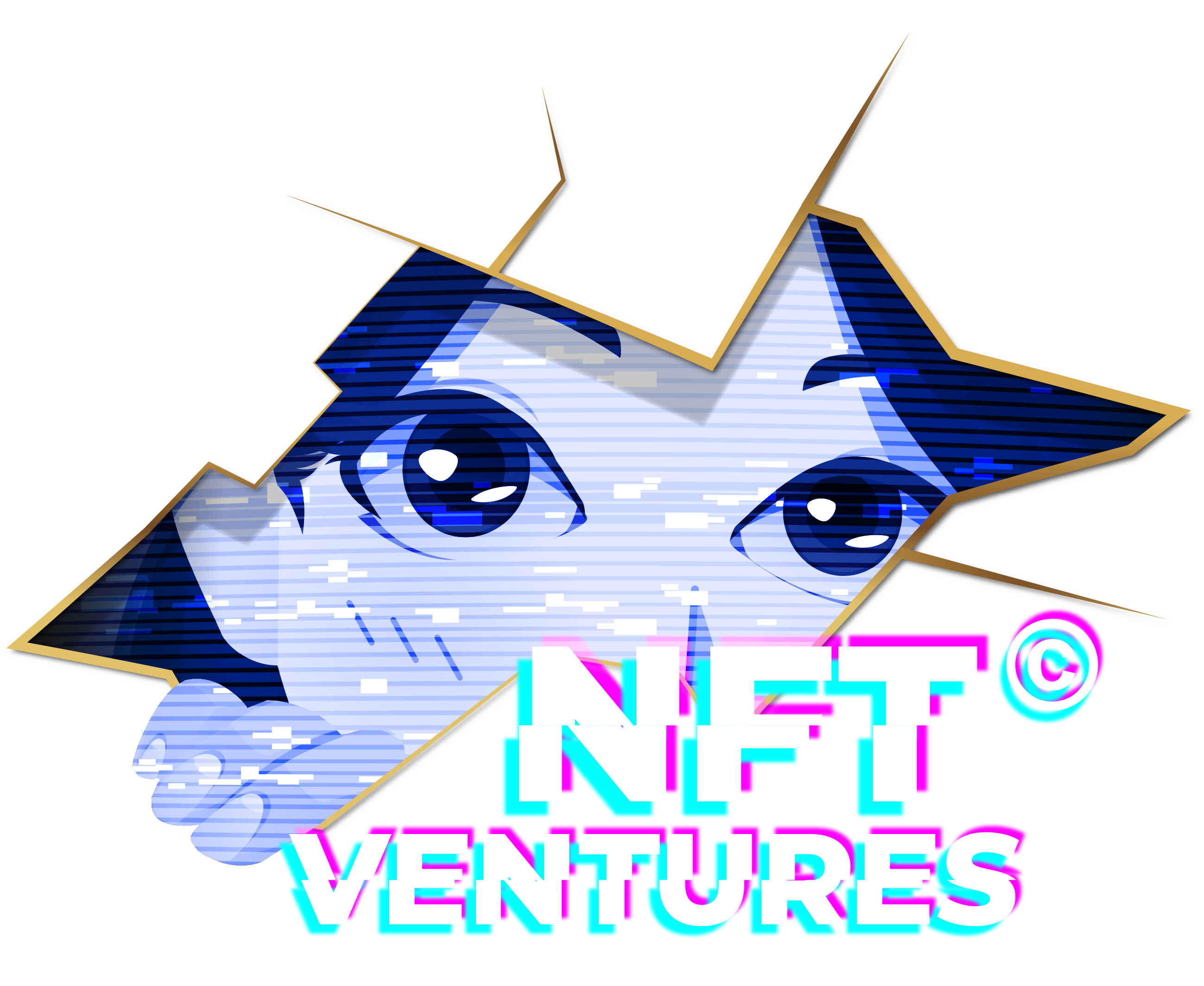 NFTs Ventures LLP